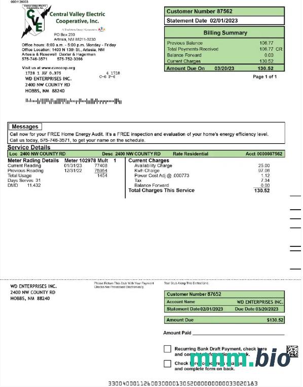 USA Central VALLEY ELECTRIC rachunek za media słowo i szablon PDF